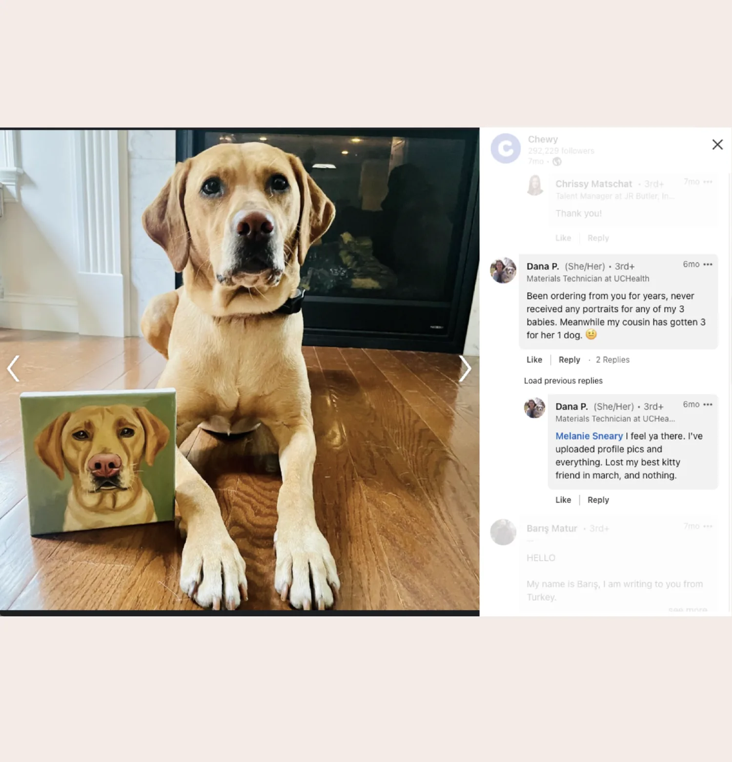 Comments on a Chewy social post from long-time customers who never received a pet portrait